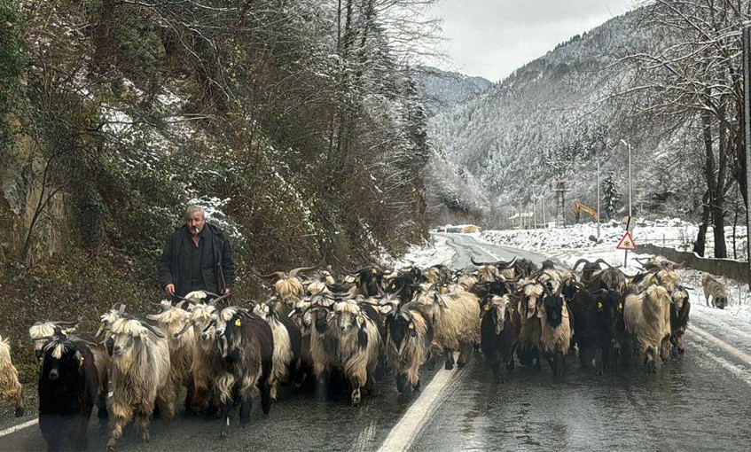 Doğu Karadeniz'de ulaşım sağlanamayan 395 köy yolundan 287'si açıldı